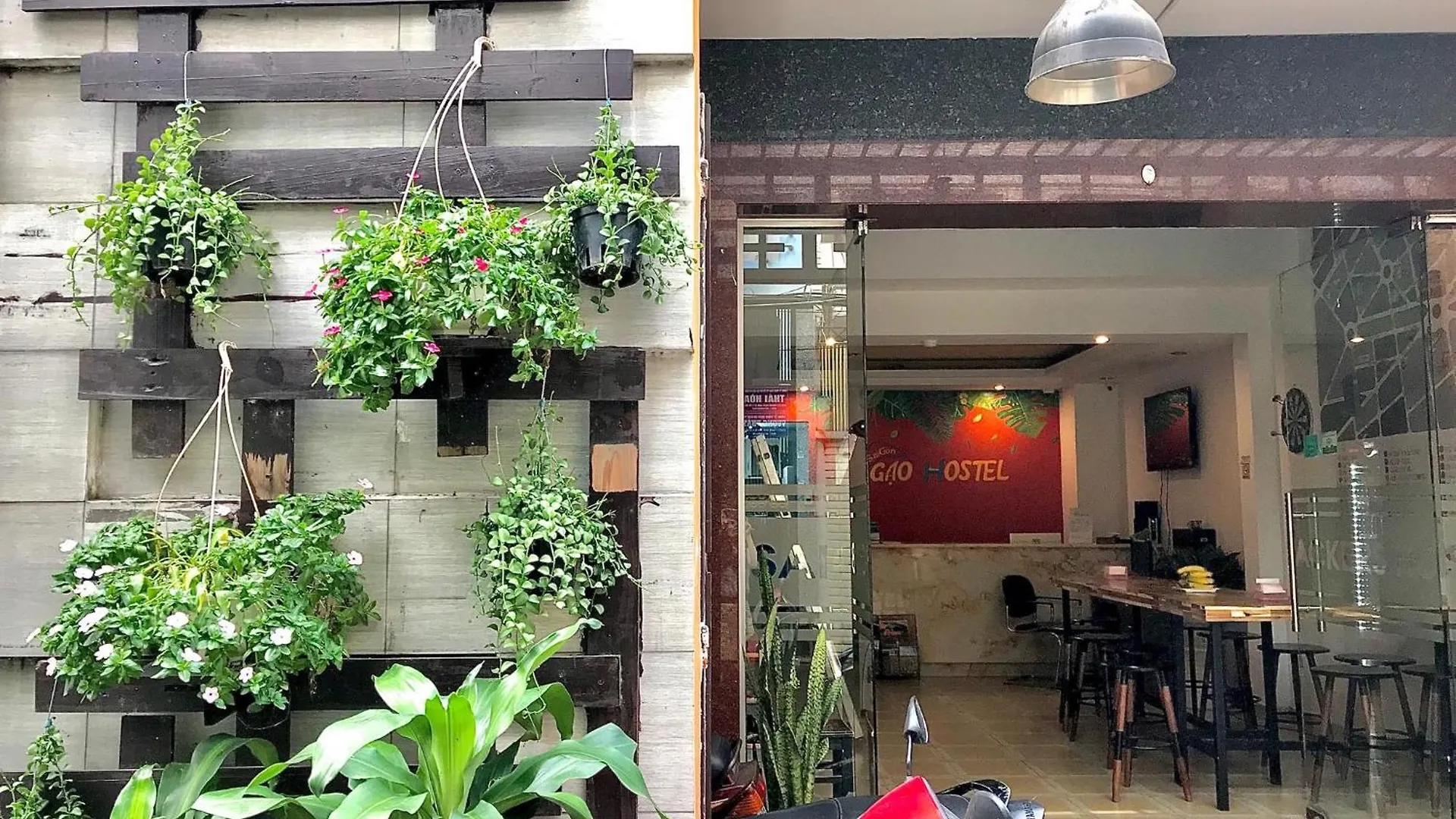 Hotel Saigon Gao Hostel Ciudad Ho Chi Minh