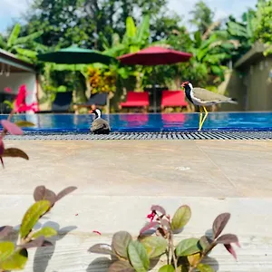 https://the-kingslayers-resort.negombohotels.net